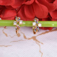 Multiy Color Earrings